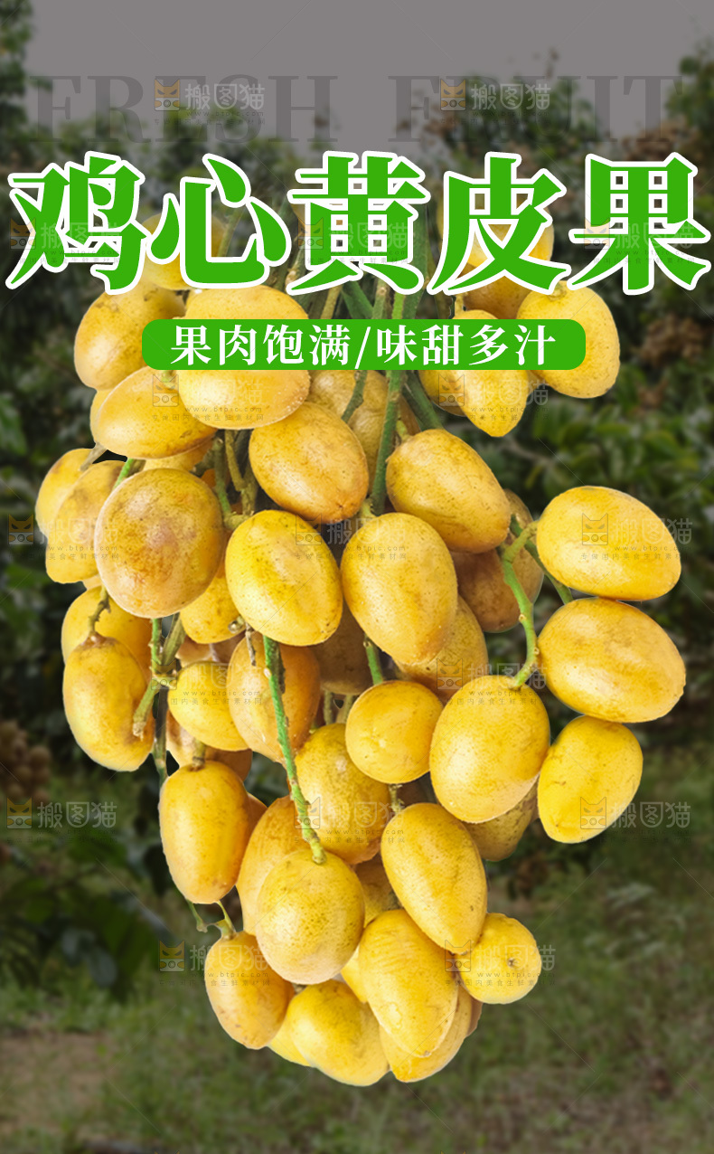 黄皮果详情页