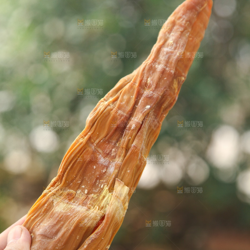 龙笋干