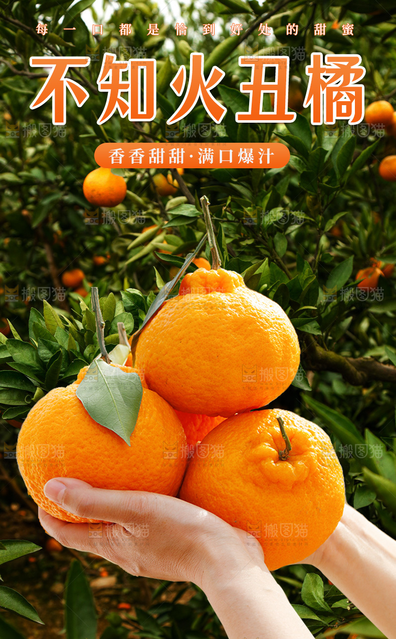 丑橘详情页