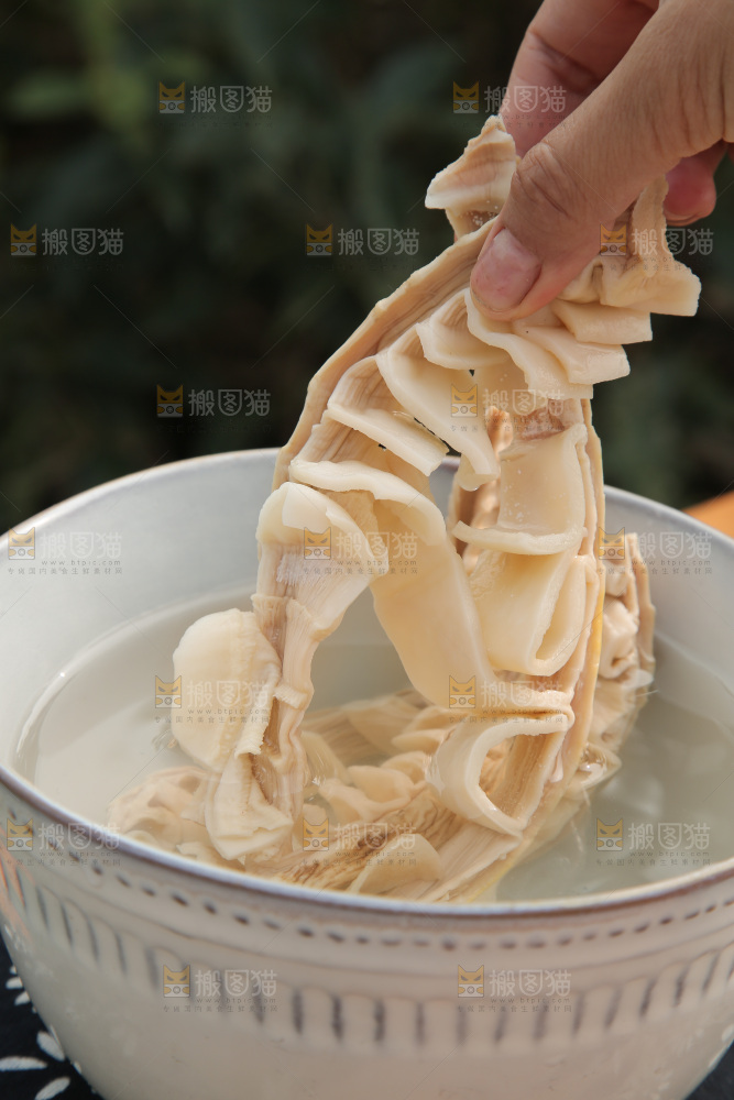 玉兰笋