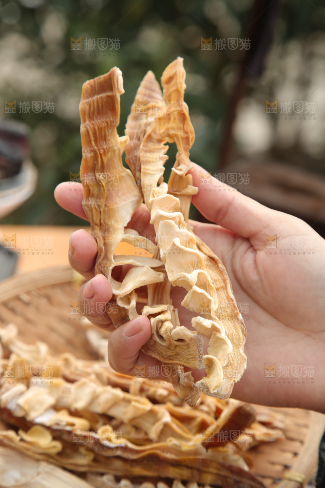 玉兰笋