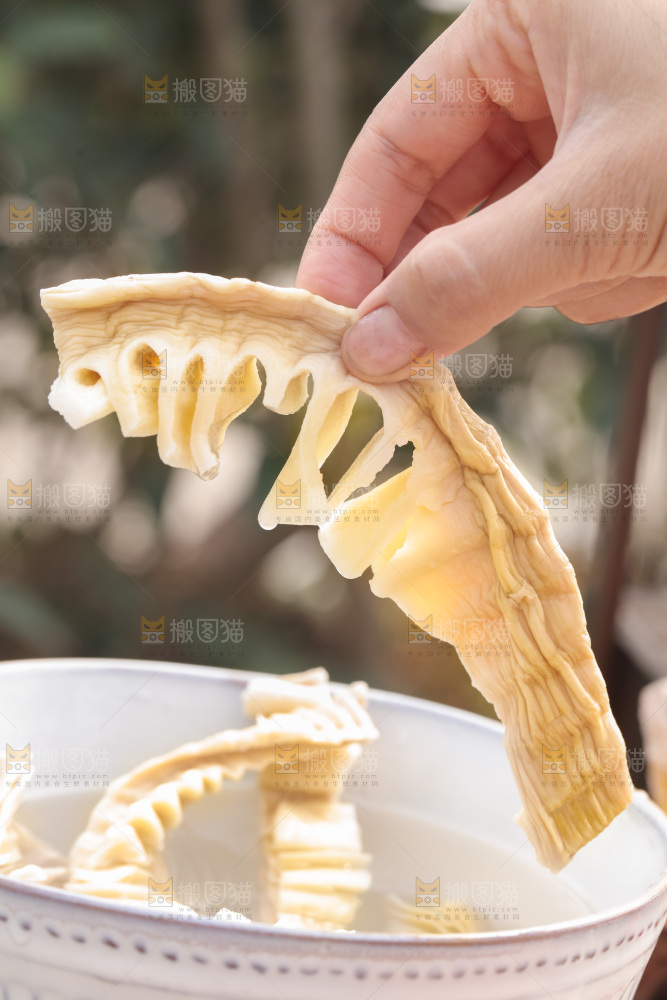 玉兰笋
