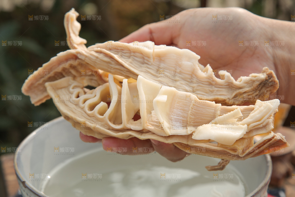 玉兰笋