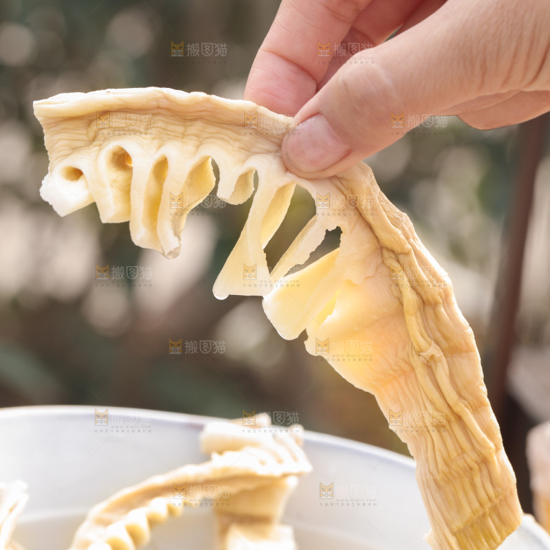 玉兰笋