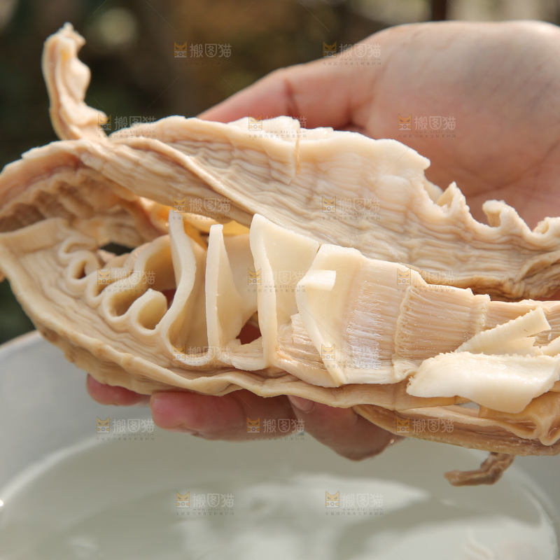 玉兰笋