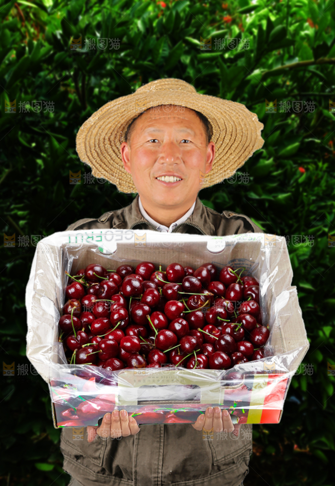 车厘子