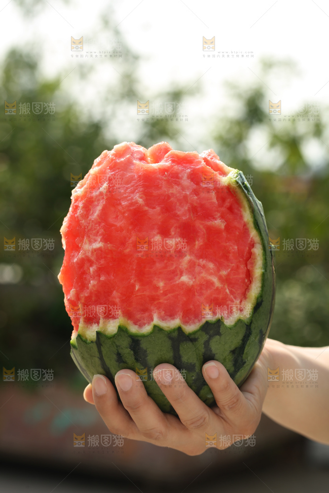 手扒皮西瓜