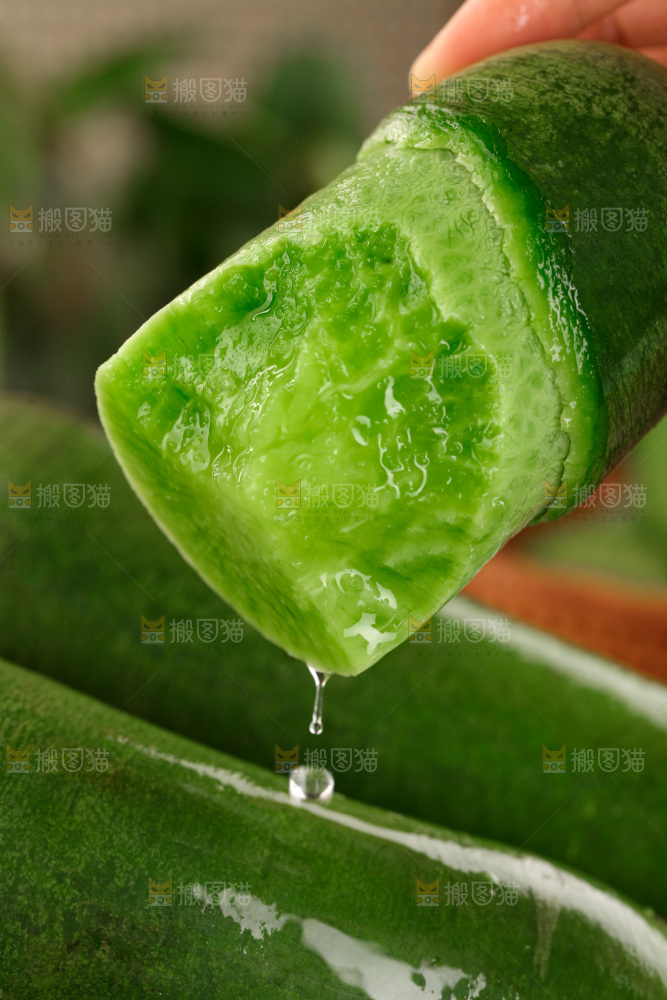 水果萝卜