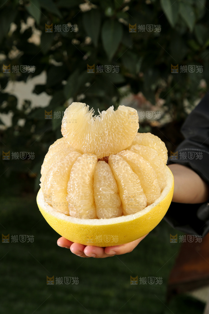 玉环文旦柚