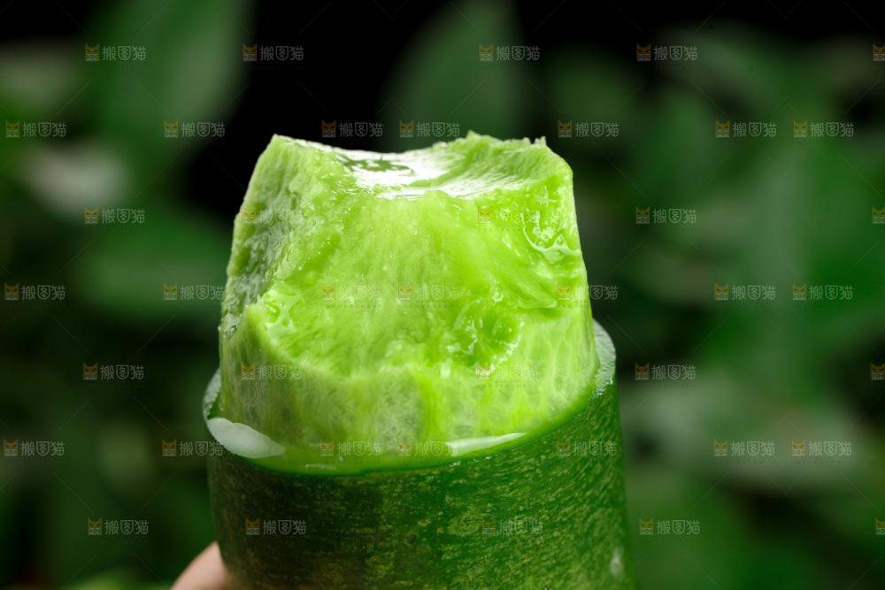 水果萝卜