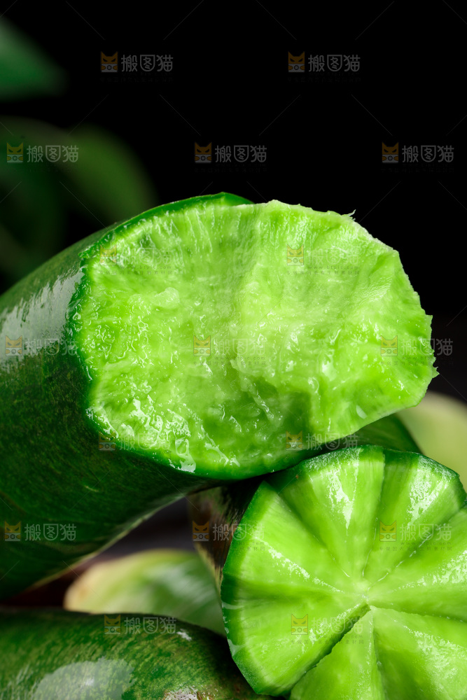 水果萝卜