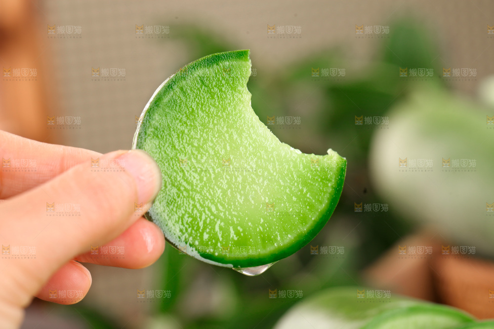 水果萝卜