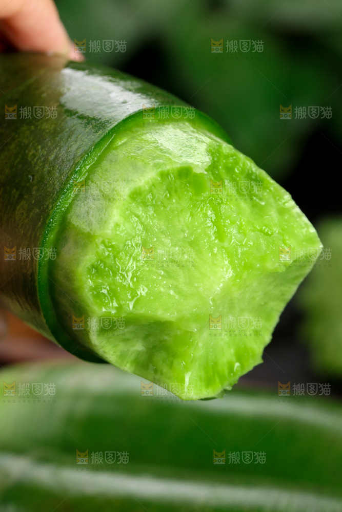 水果萝卜