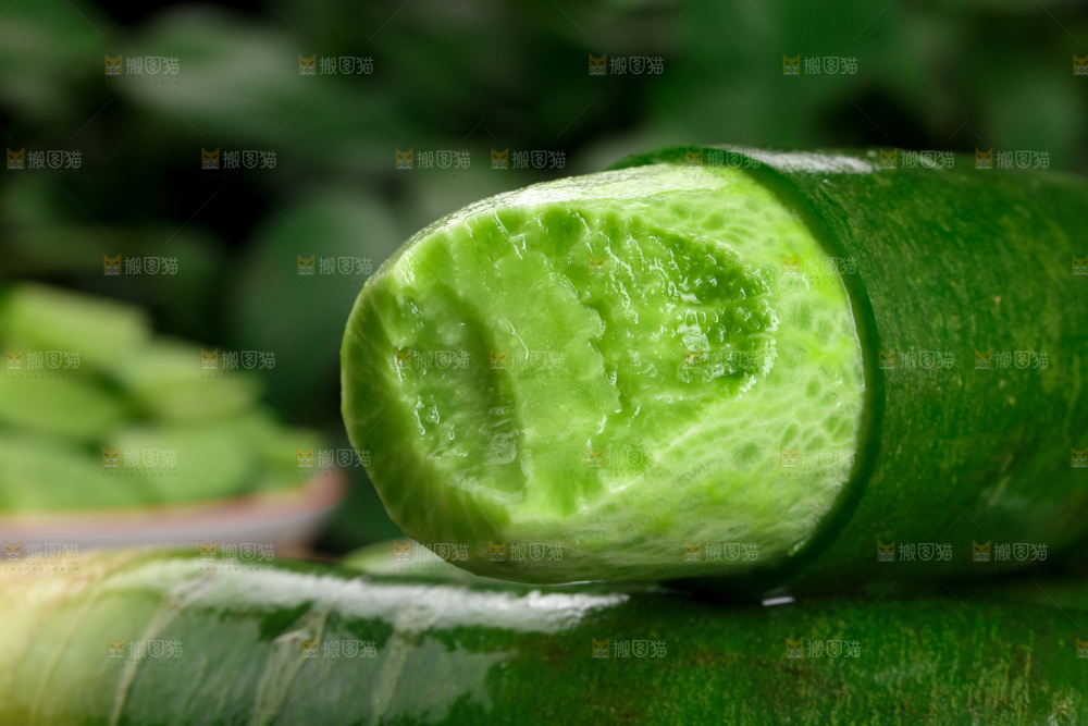 水果萝卜
