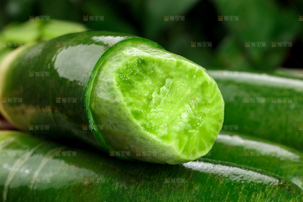 水果萝卜