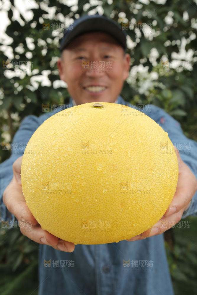 玉环文旦柚