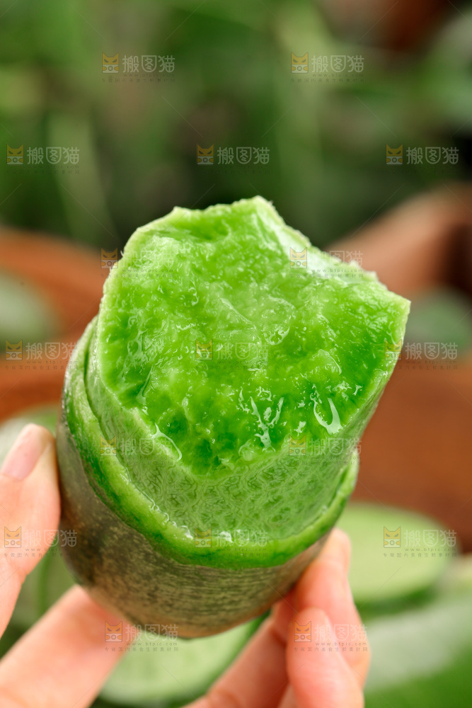 水果萝卜