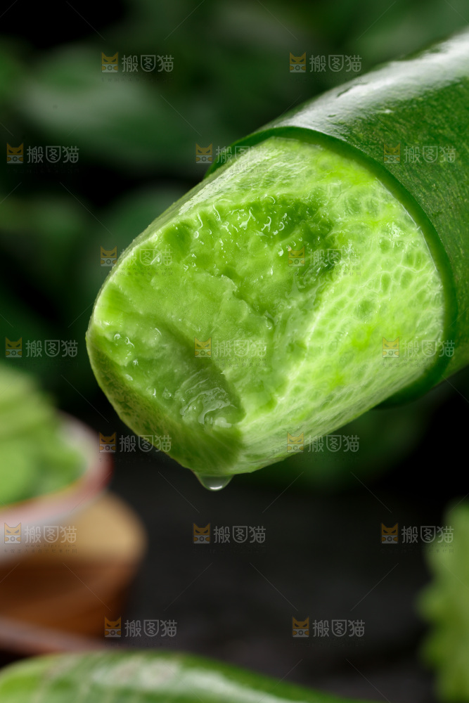 水果萝卜