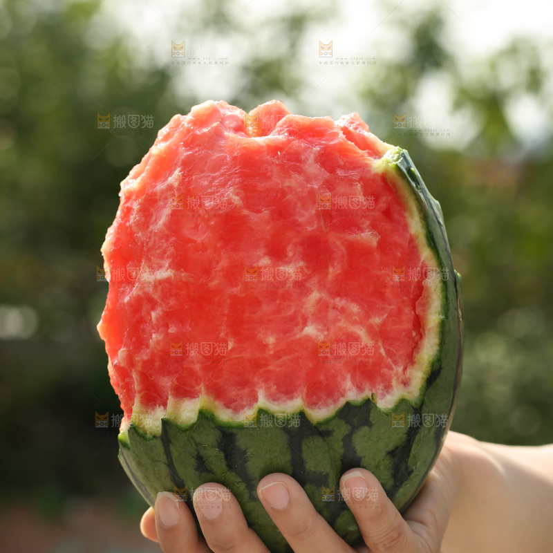 手扒皮西瓜