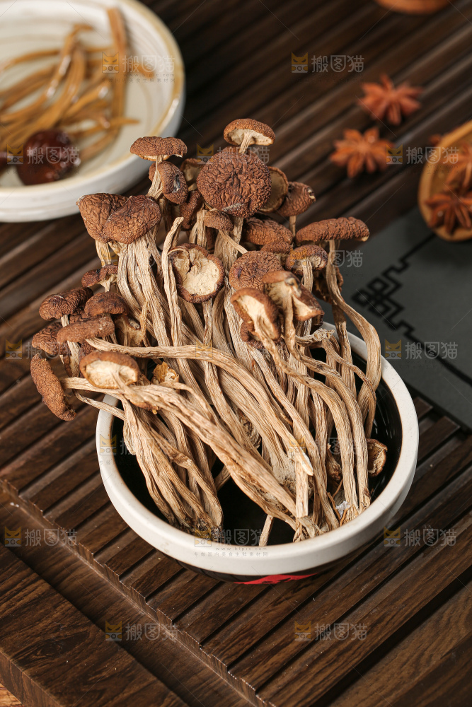 茶树菇