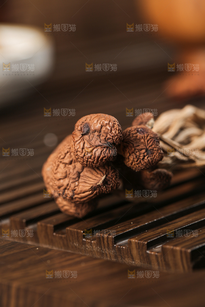 茶树菇