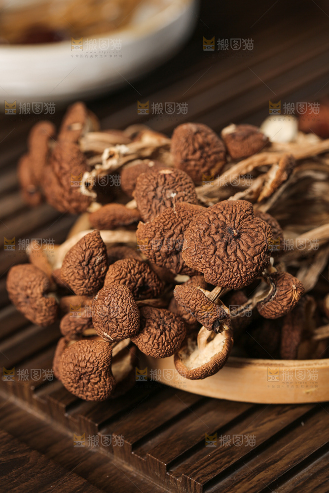 茶树菇