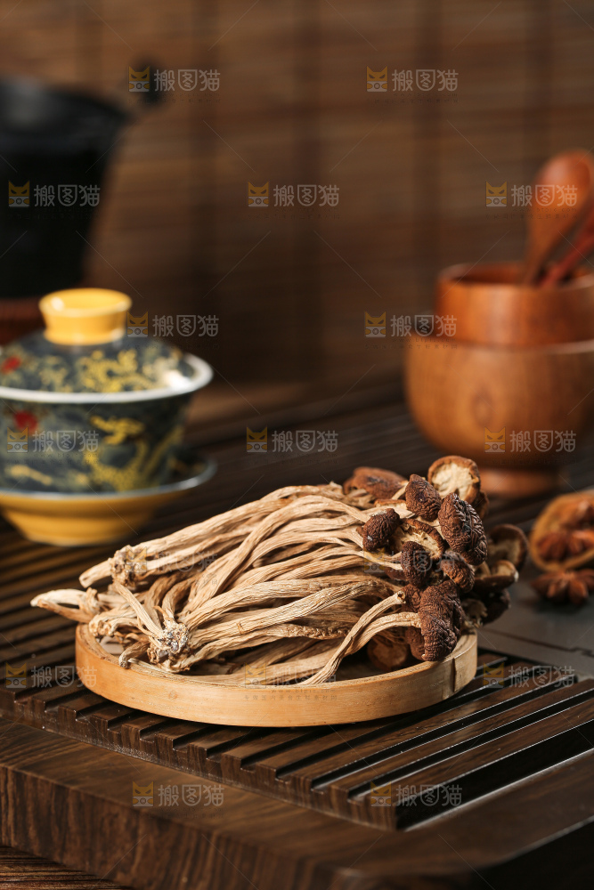 茶树菇