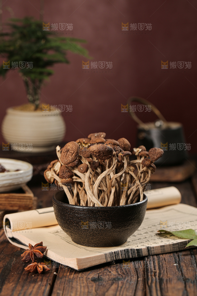 茶树菇