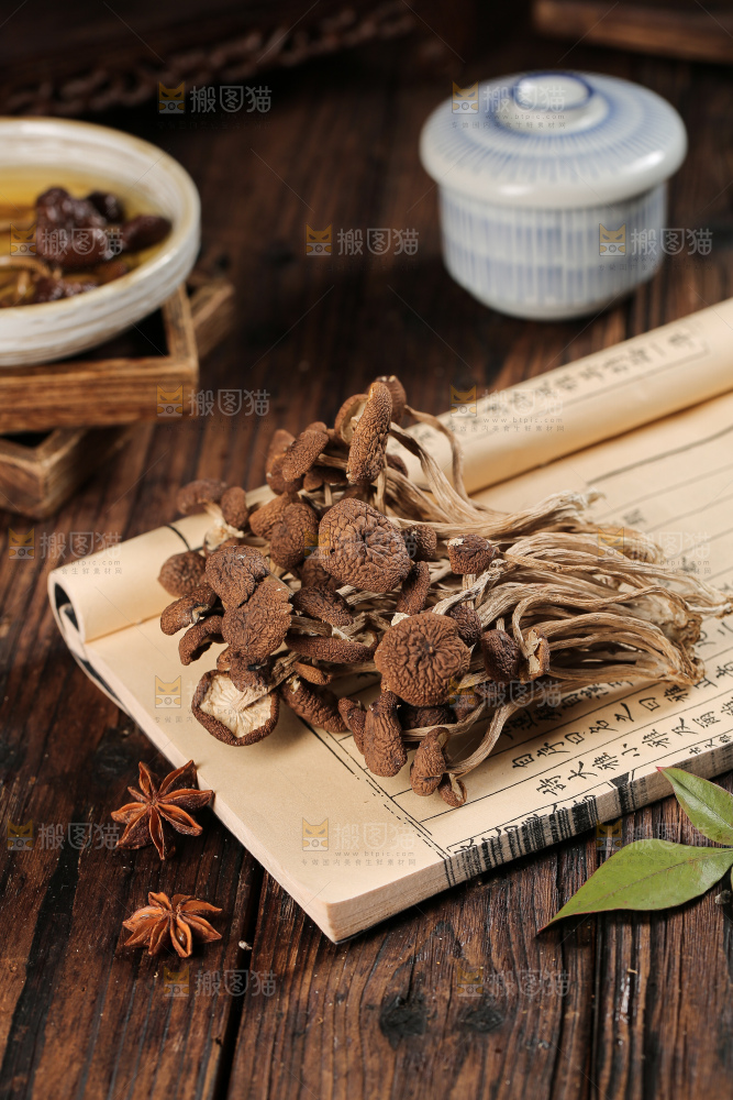 茶树菇