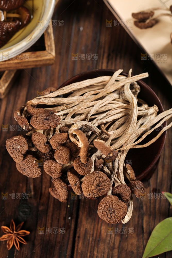 茶树菇