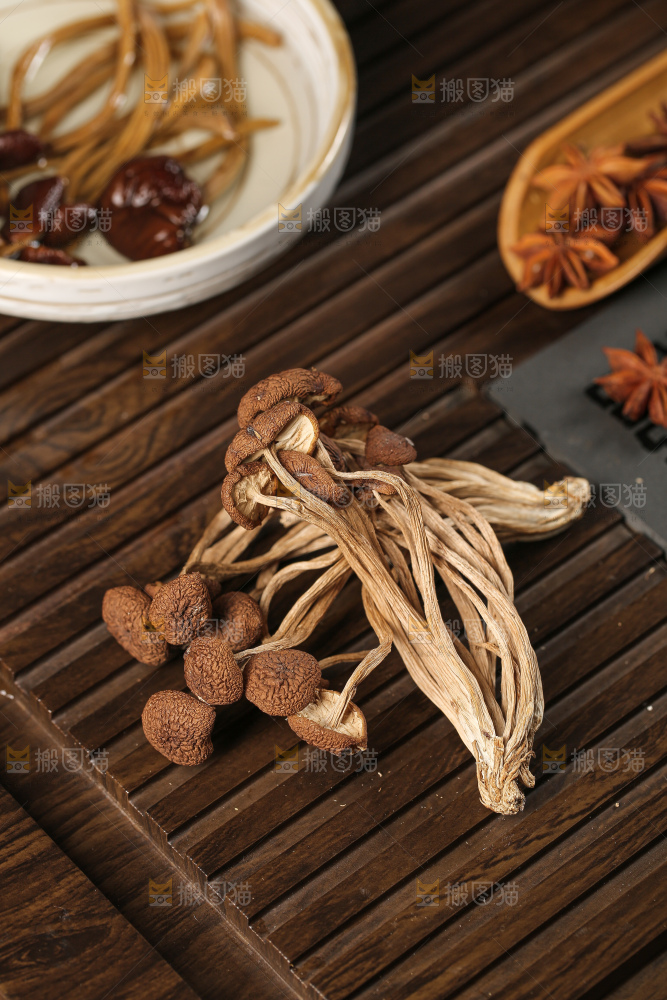 茶树菇