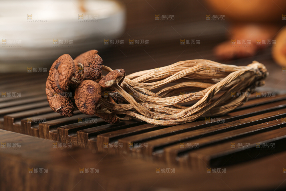 茶树菇