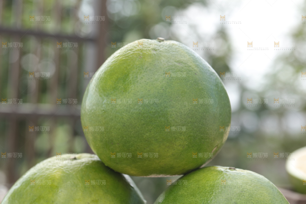 翡翠葡萄柚