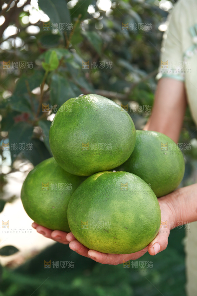 翡翠葡萄柚
