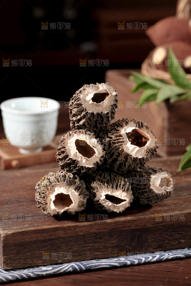 羊肚菌