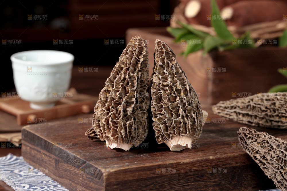羊肚菌