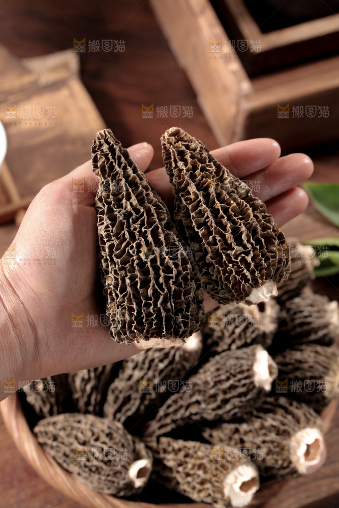 羊肚菌