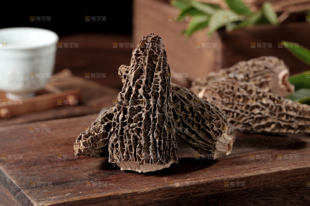 羊肚菌