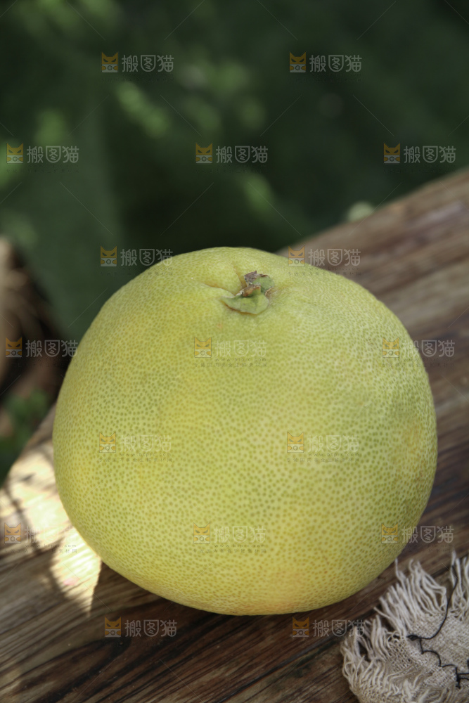 文旦柚