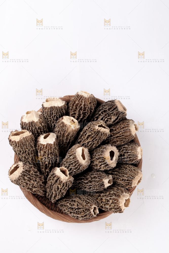 羊肚菌