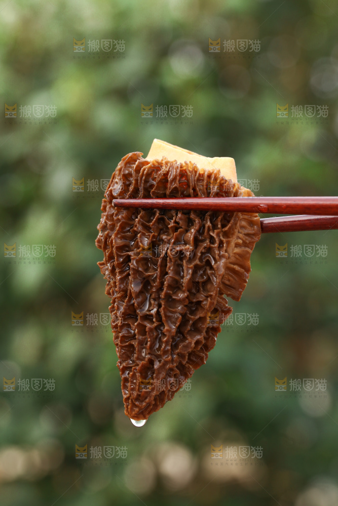 羊肚菌