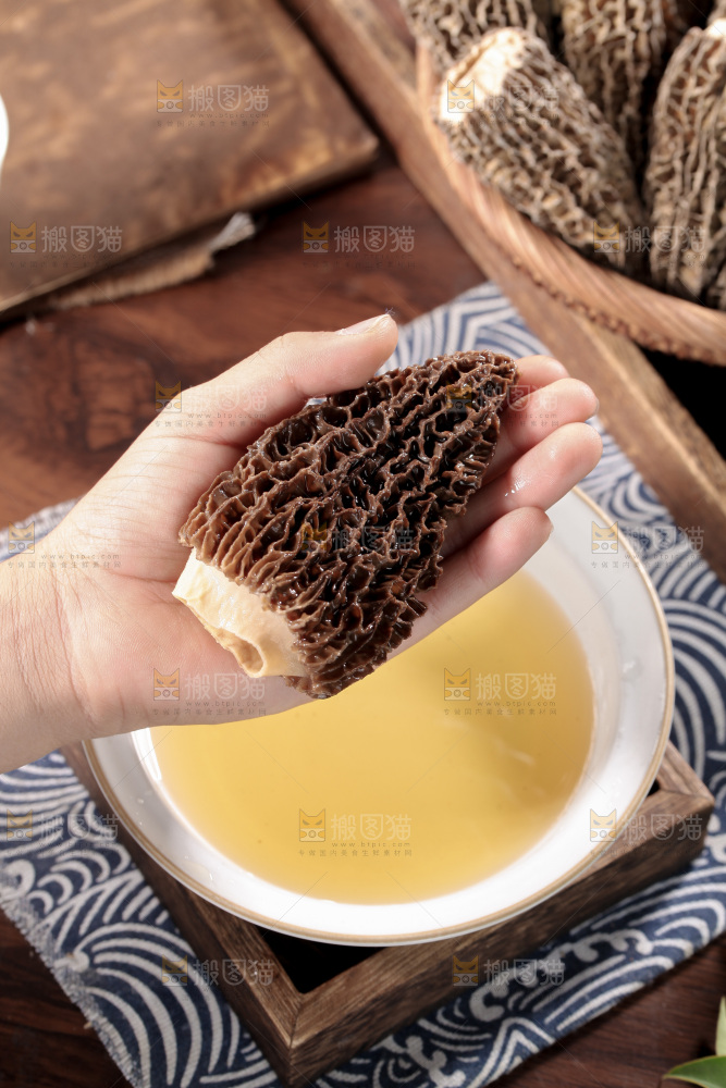 羊肚菌
