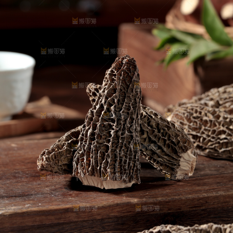 羊肚菌
