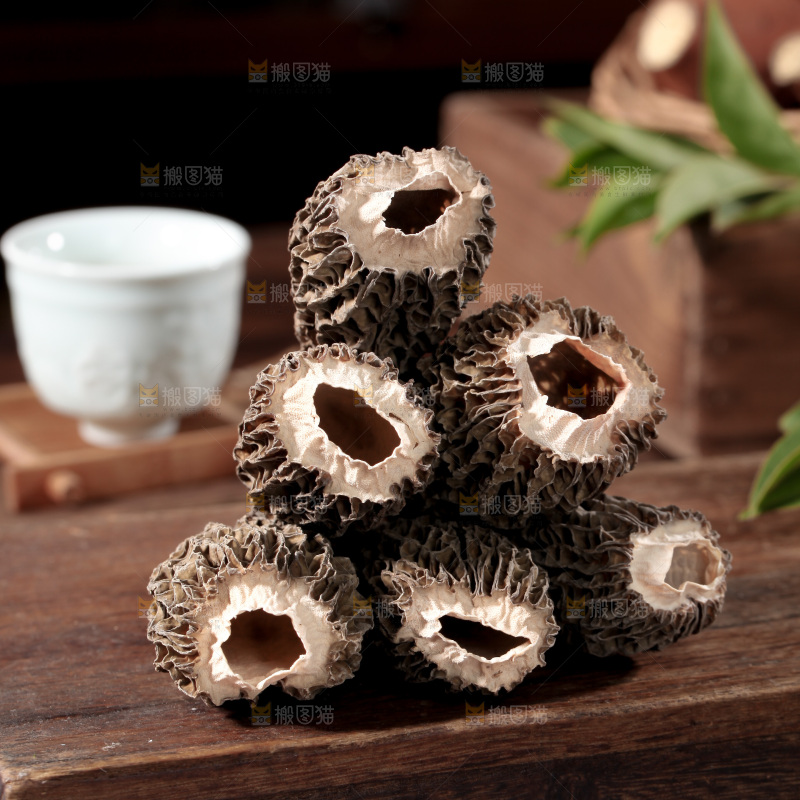 羊肚菌