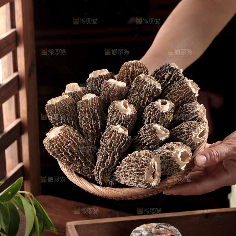 羊肚菌