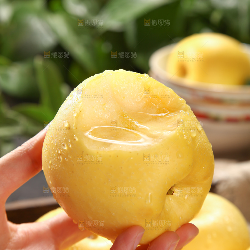 维纳斯苹果