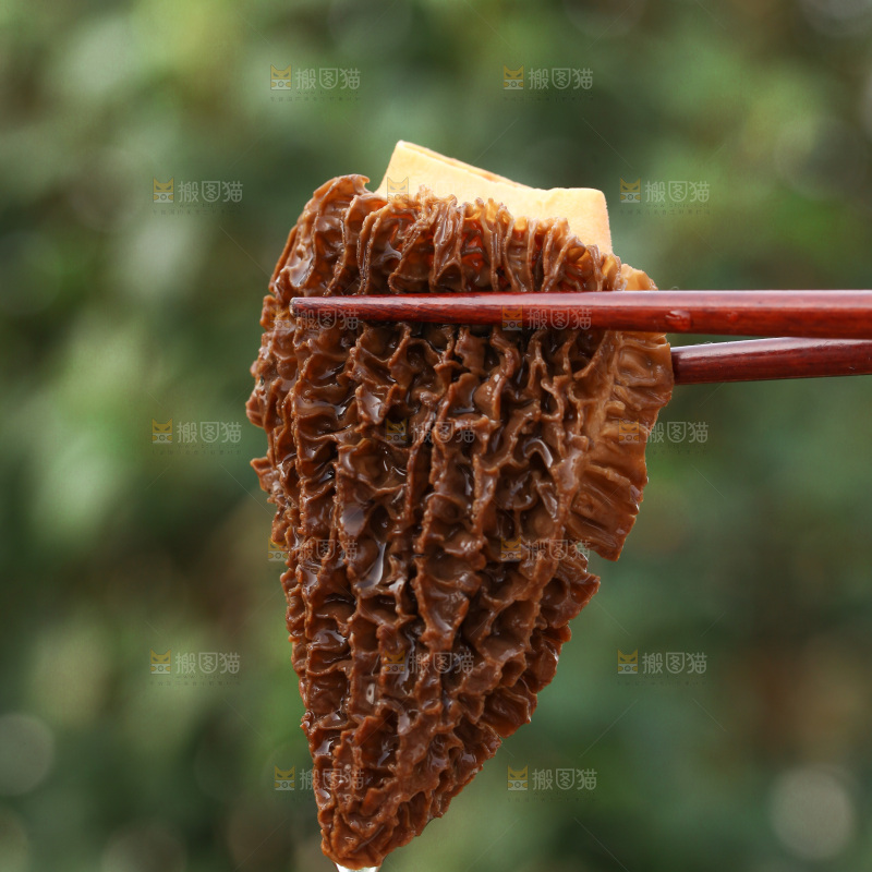 羊肚菌