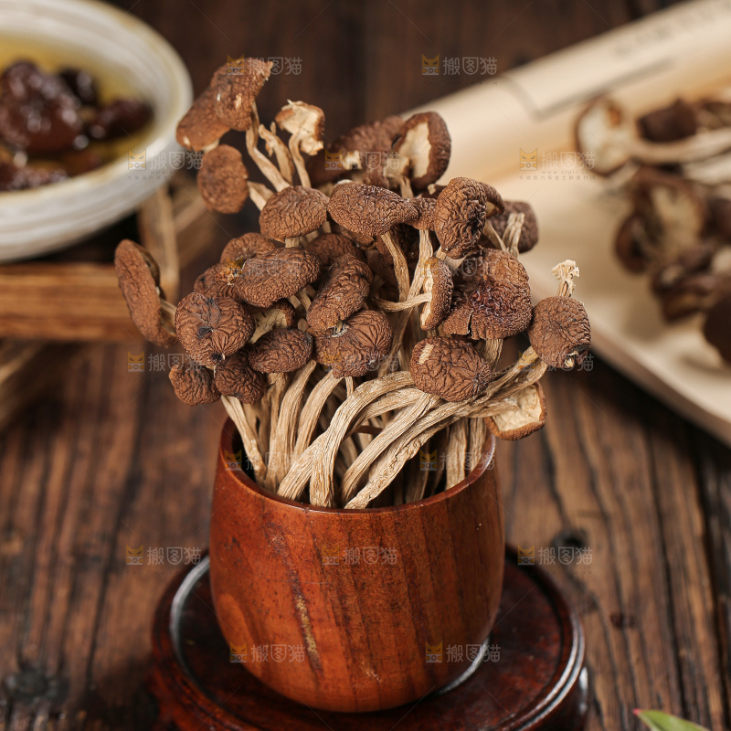 茶树菇