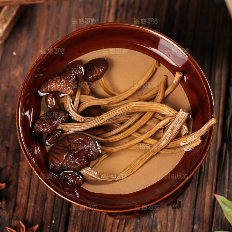 茶树菇