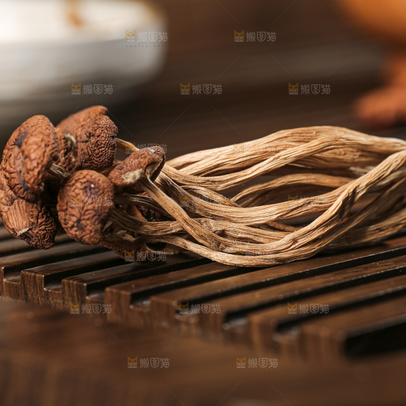茶树菇